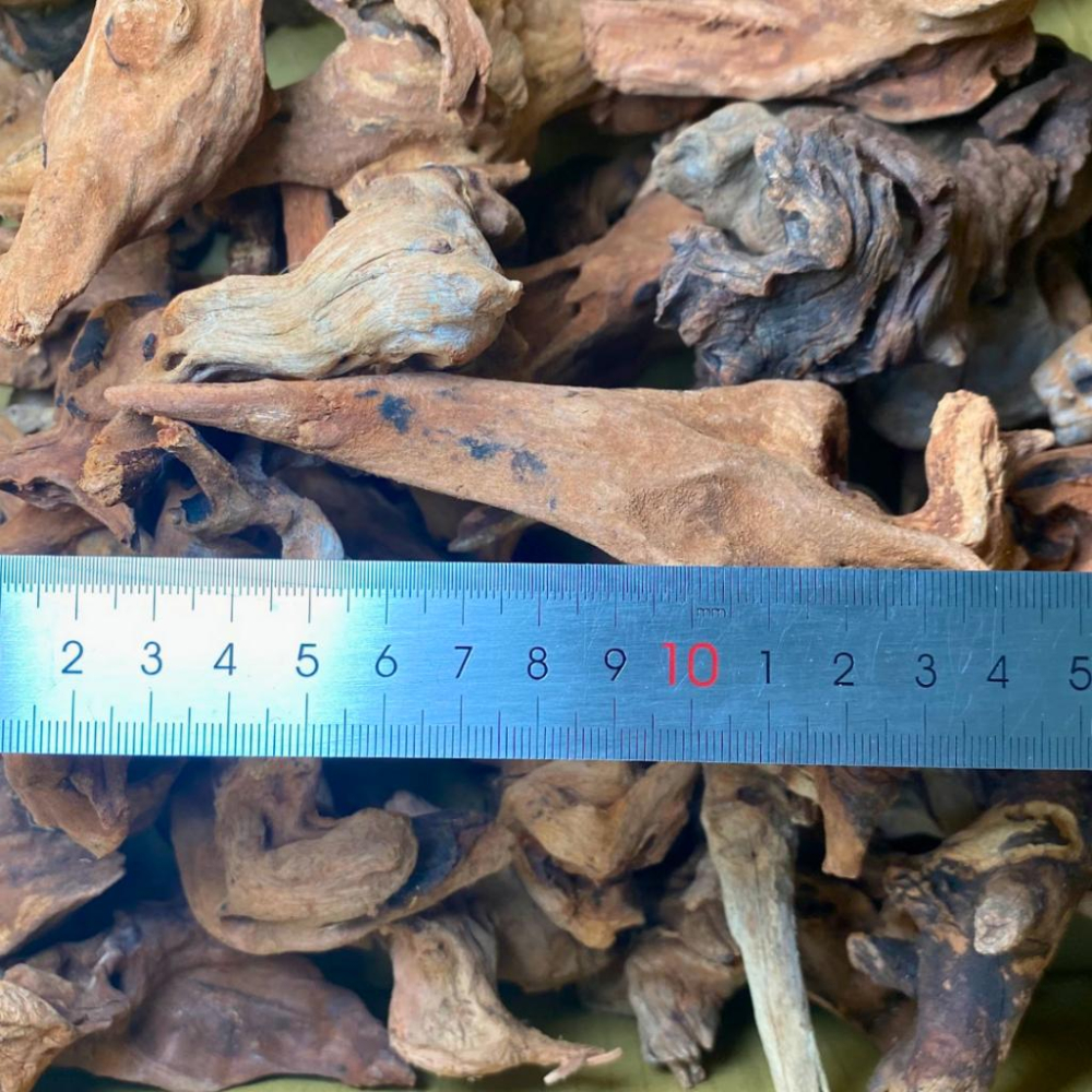 [現貨] 天然小型紫柚木 速沈 5-15cm  蝦木 草缸 裝飾 小沉木 可綁默絲 黏水草 樹棲爬蟲守宮 水族-細節圖3