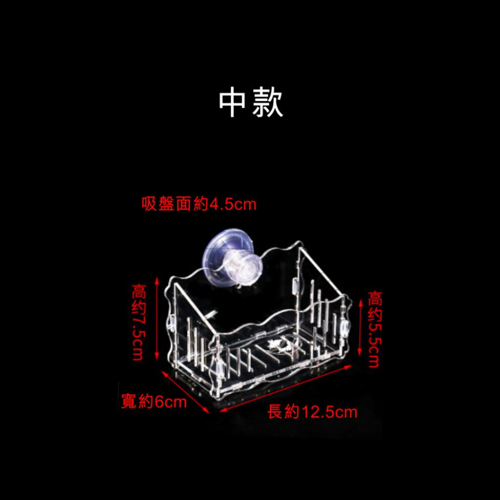 [現貨] 壓克力水草盆 小/中/大  大力吸盤 壁掛栽培 不浪費空間 底部開孔 養水草 培植 水蘊草 金魚藻 莫絲-細節圖3