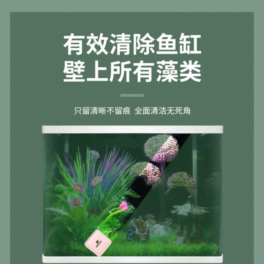 [現貨] 3.5cm 超強迷你磁力刷 迷你磁刷 魚缸除藻 刮除藻類 強力磁鐵-細節圖3