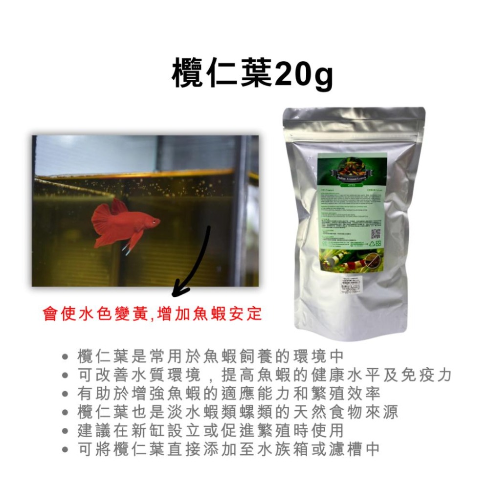 [現貨]OTTO 欖仁葉 20g 燈魚 水晶蝦 鬥魚 短鯛 黑水  欖人葉 降酸 軟水 單寧酸-細節圖2