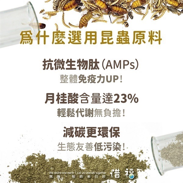 [現貨] 幼魚蟲源粉粒飼料30g 仔魚適用 健康消化型 孔雀魚 鬥魚 燈魚 小型魚 魚飼料 海豐飼料-細節圖6