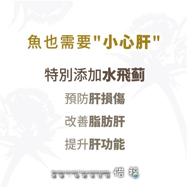 [現貨] 幼魚蟲源粉粒飼料30g 仔魚適用 健康消化型 孔雀魚 鬥魚 燈魚 小型魚 魚飼料 海豐飼料-細節圖7