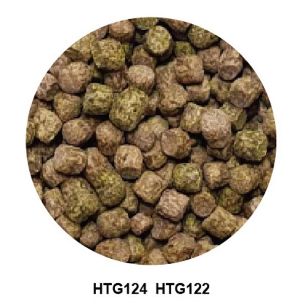 [現貨] 龍鯉/金魚雙色育成飼料175g 罐裝 浮水性 獅頭 玉如意 錦鯉 琉金 金魚 海豐飼料-細節圖2