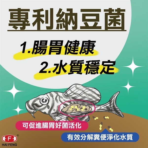 [現貨] 龍鯉/金魚雙色育成飼料175g 罐裝 浮水性 獅頭 玉如意 錦鯉 琉金 金魚 海豐飼料-細節圖8