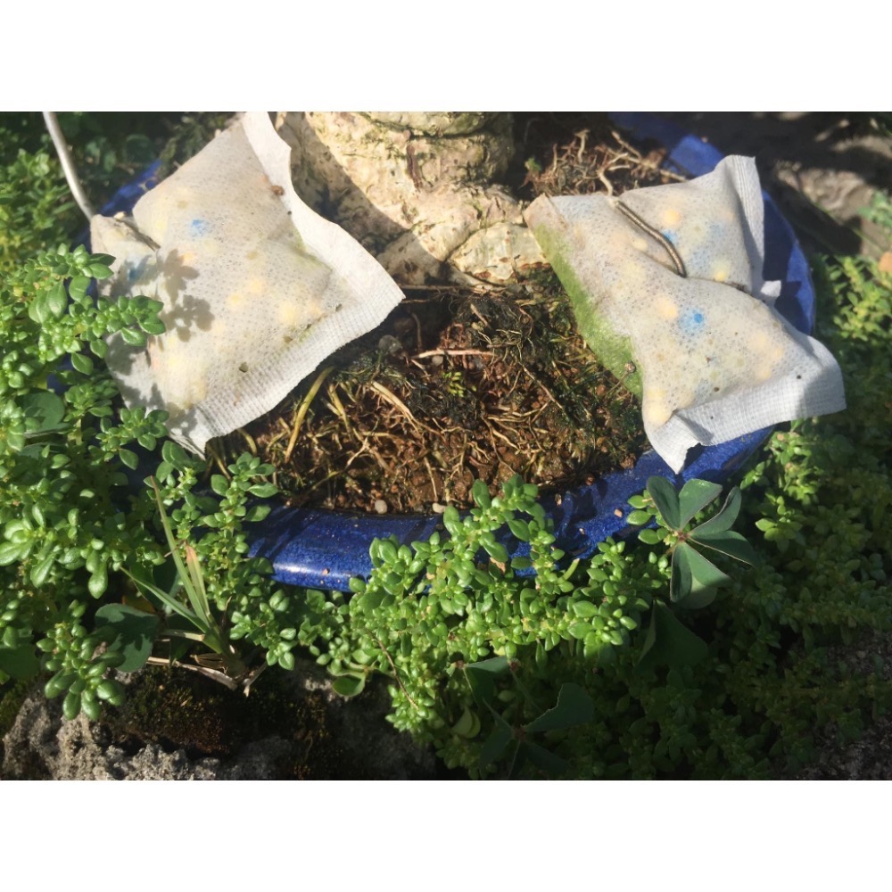 791全效奧綠肥8-9個月一般肥（小茶包裝）-細節圖2