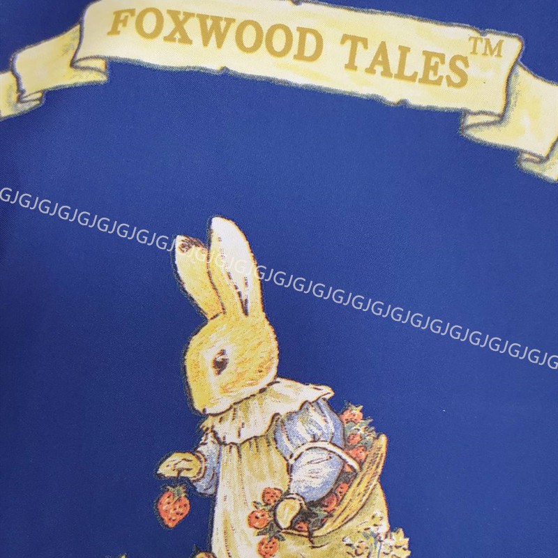 淇淇的賣場~藍 彼得兔圍裙 狐狸傳奇圍裙 正版授權台灣製 ，二口袋圍裙圍廚房圍裙咖啡廳圍裙 餐飲圍裙-細節圖3