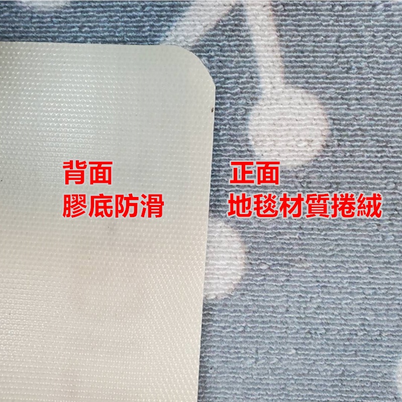 淇淇的賣場~種子 捲絨吸水踏墊尺寸約:45*70公分，膠底防滑，吸水地墊 室內室外踏墊 床前墊 門口墊  踏墊 地毯-細節圖5