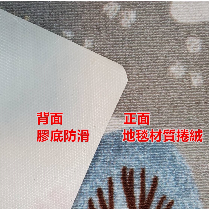 淇淇的賣場~冬意 捲絨吸水踏墊尺寸約:45*70公分，膠底防滑，吸水地墊 室內室外踏墊 床前墊 門口墊  踏墊 地毯-細節圖5