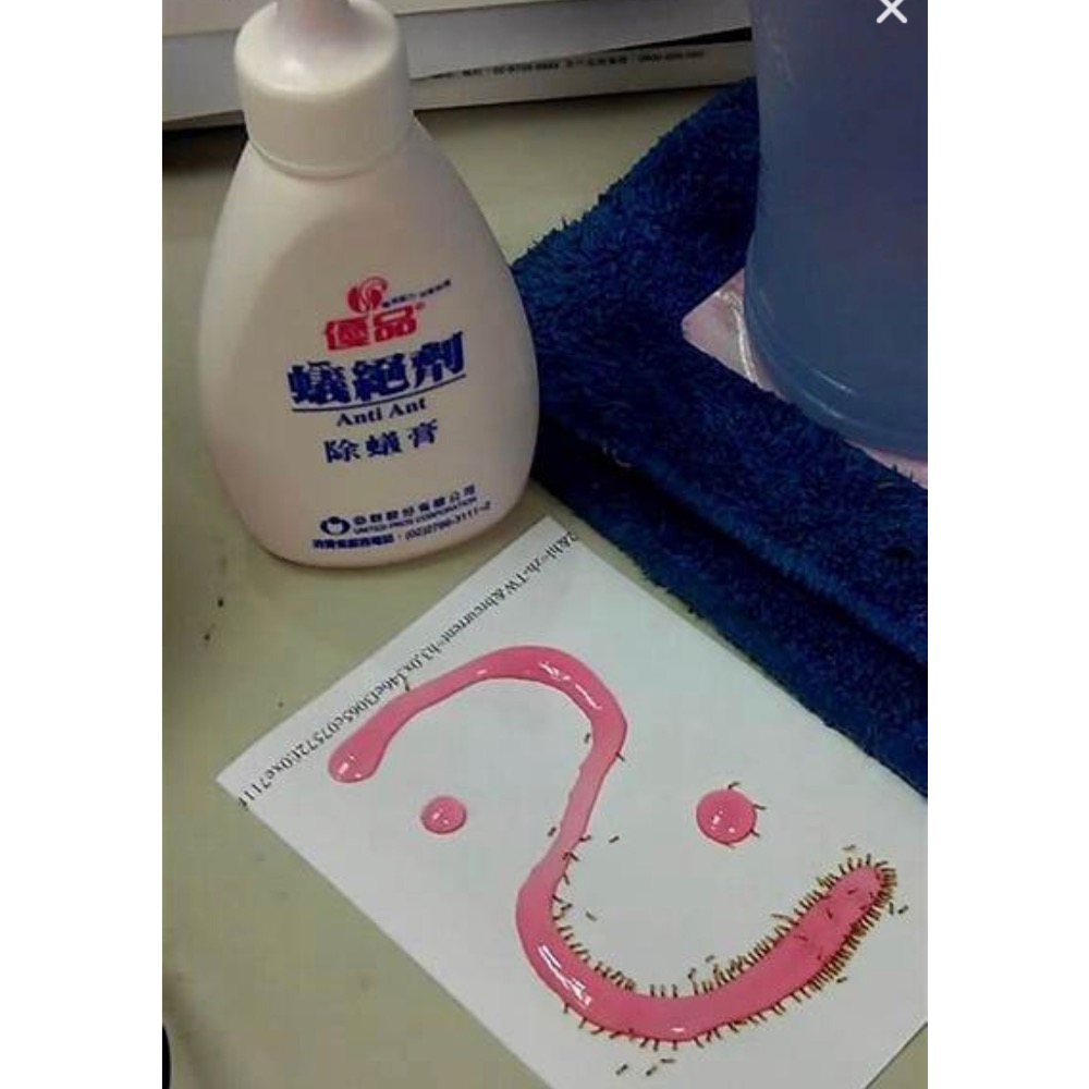 優品 蟻絕劑 除蟻膏80g-細節圖3
