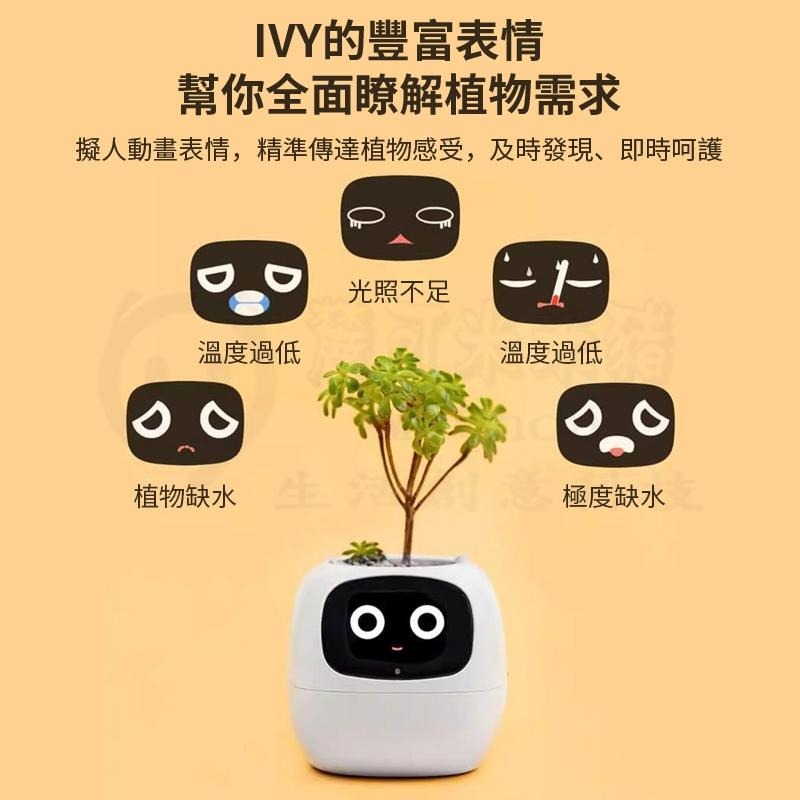 趣味天氣時鐘盆栽擺件🕹️互動創意桌寵花盆 自動吸水花盆寵物 創意花器植物盆栽 療愈解壓桌面擺件 新奇禮物 花盆機器人-細節圖4