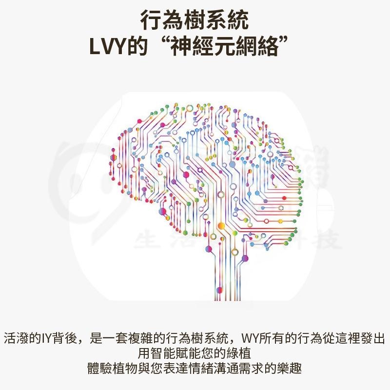 趣味天氣時鐘盆栽擺件🕹️互動創意桌寵花盆 自動吸水花盆寵物 創意花器植物盆栽 療愈解壓桌面擺件 新奇禮物 花盆機器人-細節圖5