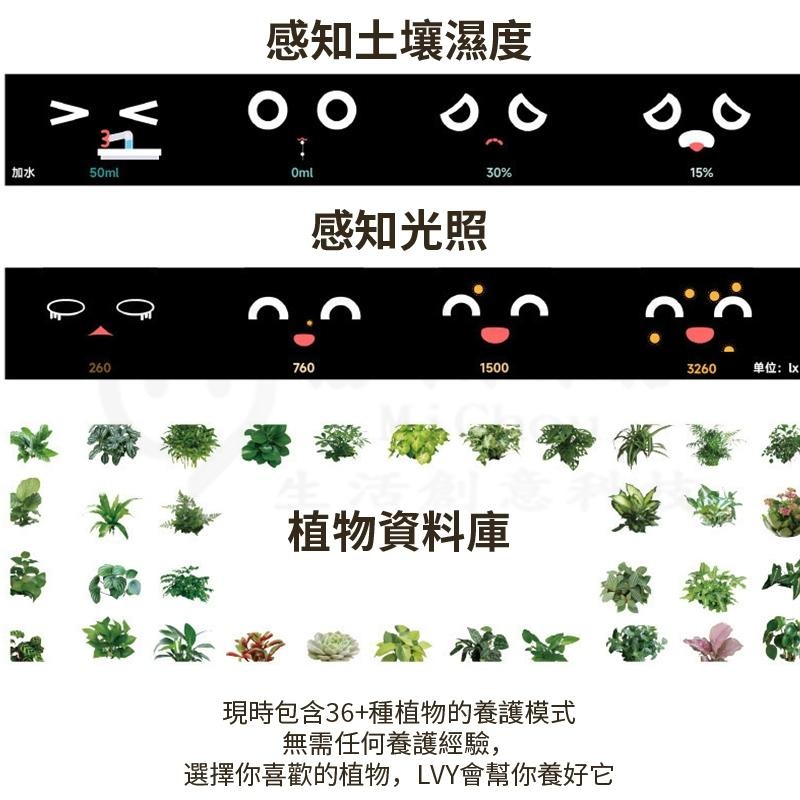 趣味天氣時鐘盆栽擺件🕹️互動創意桌寵花盆 自動吸水花盆寵物 創意花器植物盆栽 療愈解壓桌面擺件 新奇禮物 花盆機器人-細節圖8