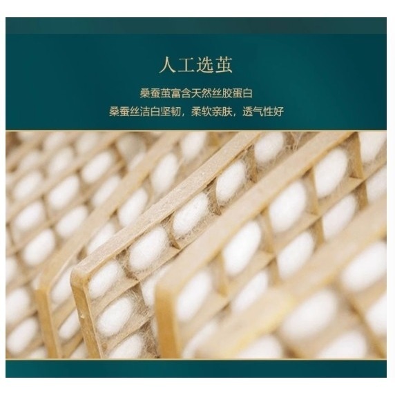 江蘇桐鄉天然蠶絲被 100%蠶絲 被子 冬被  蚕絲被 冬被 保暖被雙人被 加大被 6斤 尺寸150*200CM-細節圖3