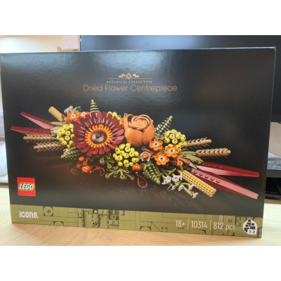 【Meta Toy】LEGO樂高 創意系列 10314 乾燥花擺設