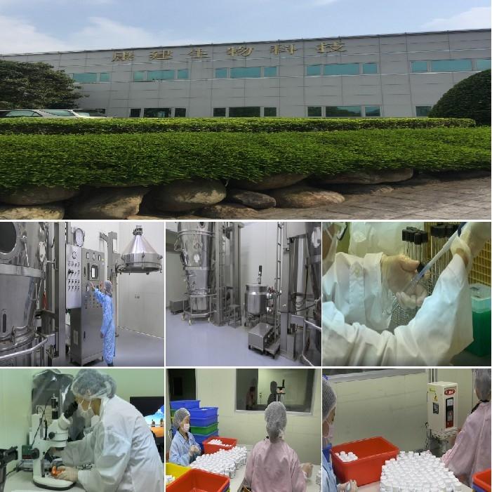 康建牛樟芝 滴丸禮盒 康建滴丸微粒 牛樟萃取 康建 賴博士 台灣製-細節圖4