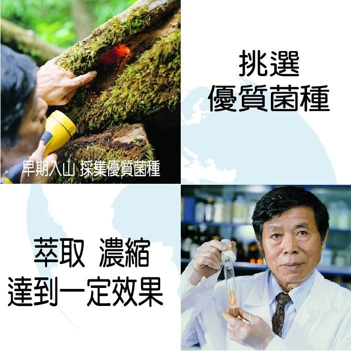 康建牛樟芝 滴丸禮盒 康建滴丸微粒 牛樟萃取 康建 賴博士 台灣製-細節圖5