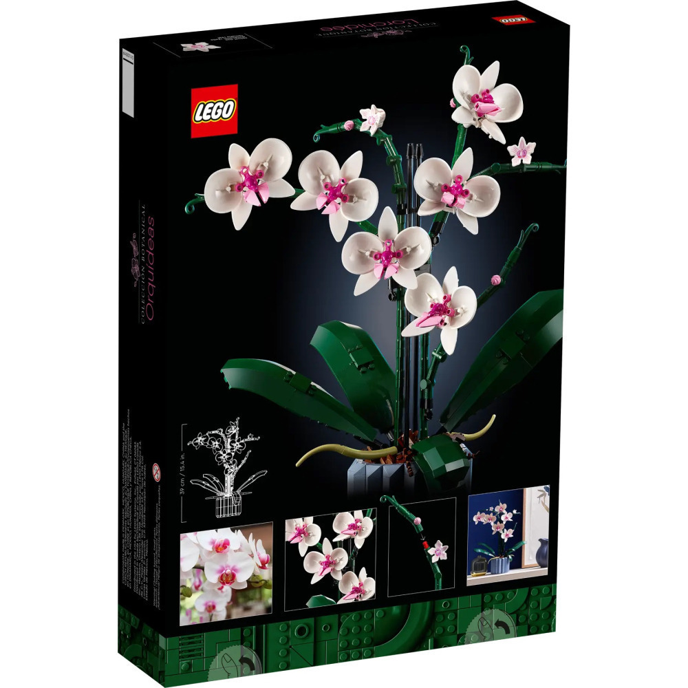 【真心玩】 樂高 LEGO 10311 Icons 植物 蘭花 現貨 高雄-細節圖2