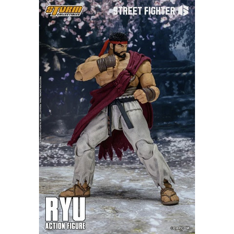 【真心玩】 STORM TOYS 快打旋風6  街頭霸王6 快打旋風 隆 龍 高雄-細節圖3