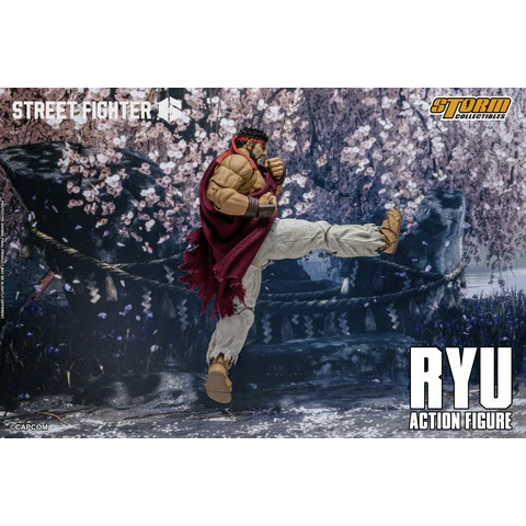 【真心玩】 STORM TOYS 快打旋風6  街頭霸王6 快打旋風 隆 龍 高雄-細節圖8
