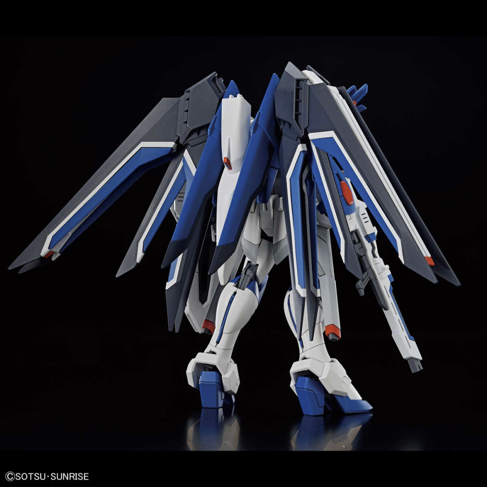 不挑盒況 【真心玩】 HG 1/144 振揚自由鋼彈 現貨 高雄-細節圖11