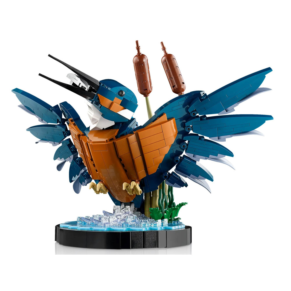 【真心玩】 LEGO 10331 Icons 翠鳥 Kingfisher Bird カワセミ 現貨 高雄-細節圖4