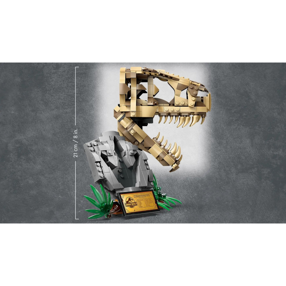 【真心玩】 LEGO 76964 侏儸紀 恐龍化石 霸王龍的頭骨 現貨 高雄-細節圖5