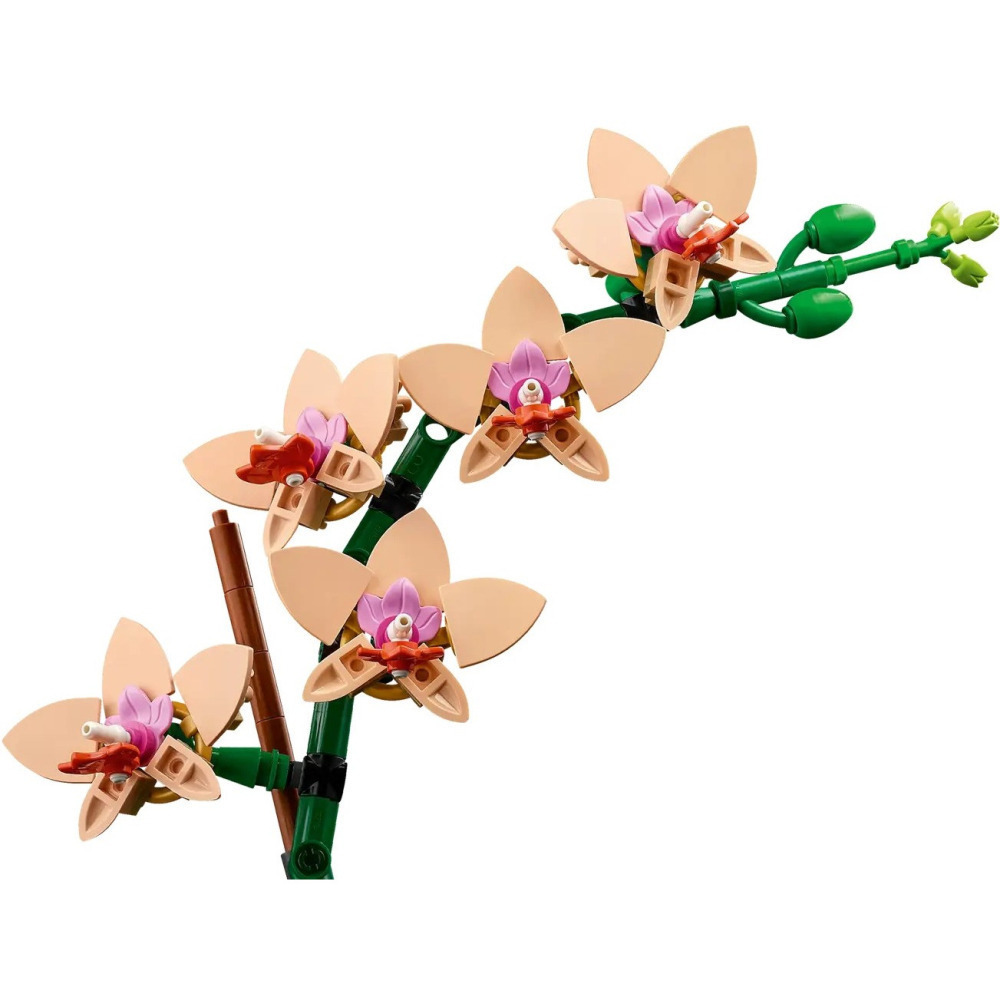 【真心玩】 LEGO 10343 迷你蘭花 Mini Orchid ラン ＜ミニ＞ 現貨 高雄-細節圖4