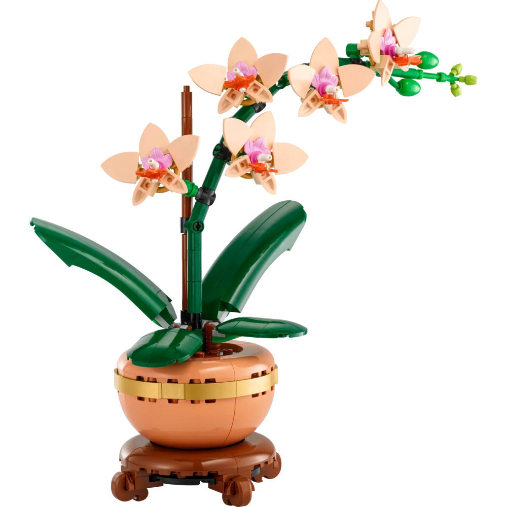 【真心玩】 樂高 LEGO 10343 植物 迷你蘭花 Mini Orchid ラン ＜ミニ＞ 現貨 高雄-細節圖2
