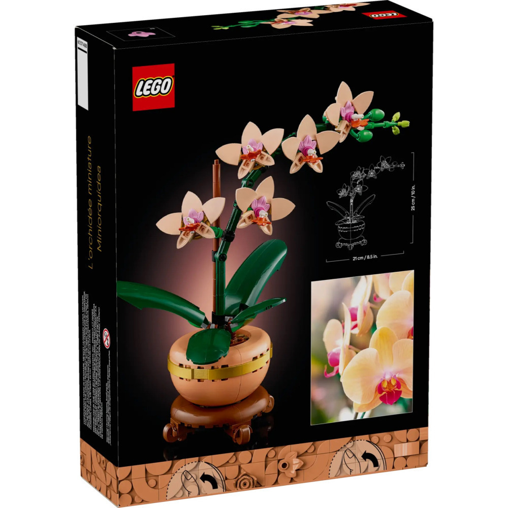 【真心玩】 樂高 LEGO 10343 植物 迷你蘭花 Mini Orchid ラン ＜ミニ＞ 現貨 高雄-細節圖3