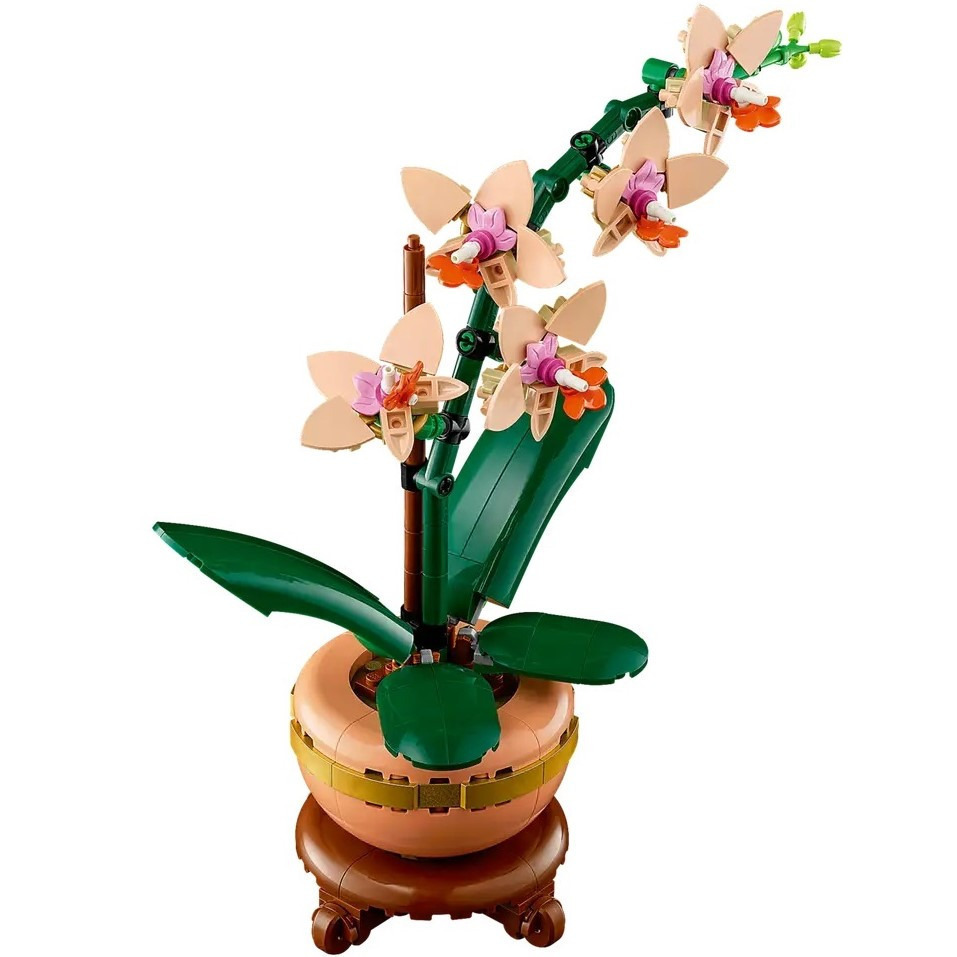 【真心玩】 樂高 LEGO 10343 植物 迷你蘭花 Mini Orchid ラン ＜ミニ＞ 現貨 高雄-細節圖5