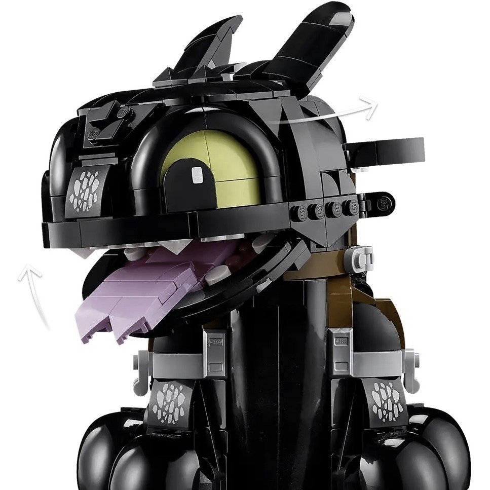 【真心玩】 樂高 LEGO 10375 Icons 馴龍高手：沒牙 現貨 高雄-細節圖7