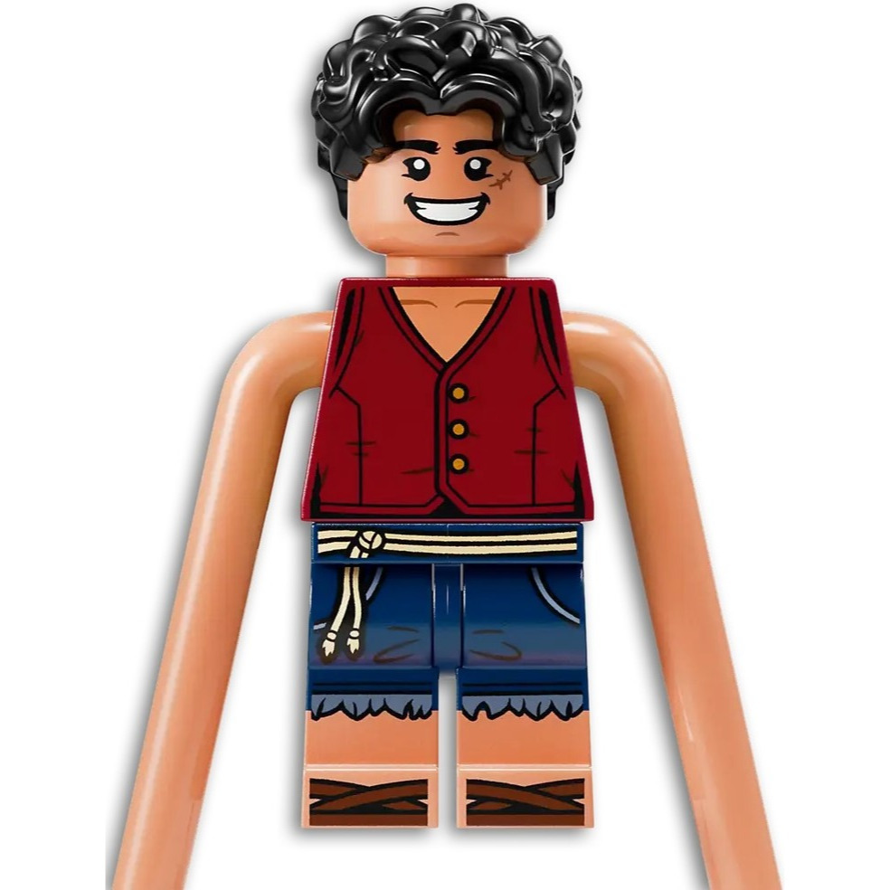 用券1580 【真心玩】 LEGO 75638 One Piece 惡龍樂園之戰 現貨 高雄-細節圖4