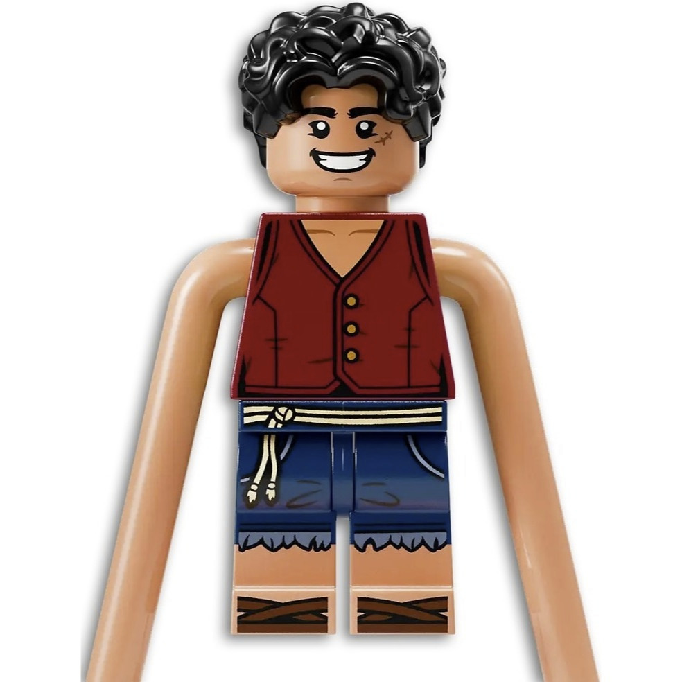 用券1740 【真心玩】 樂高 LEGO 75638 One Piece 惡龍樂園之戰 現貨 高雄-細節圖5