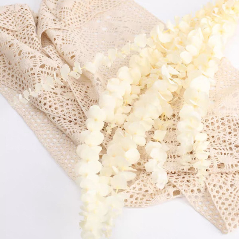 現貨🔺真花 白色 尤加利 永生花 乾燥花批發 銅錢桉 diy 婚慶 家居裝飾 乾花 婚禮佈置 捧花 乾燥花 乾燥花批發-細節圖2