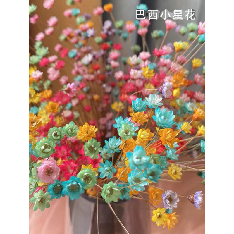 現貨🔺(一束30支) 巴西 小星花 迷你花 永生花 乾燥花 居家裝飾 店面佈置 乾花 DIY乾燥花 拍攝道具-細節圖7