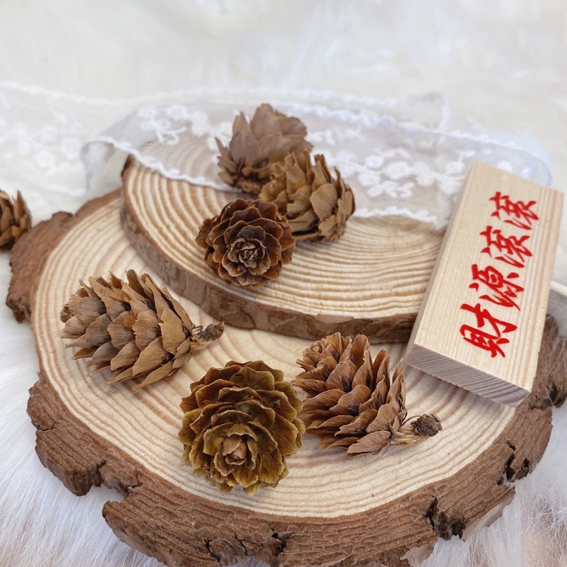 現貨🔺 綜合松果 果實 DIY 拍照道具 落葉松 大松花 小毬果 松花 玫瑰杉松 擺攤道具 花圈佈置 花圈材料 藤蔓花圈-細節圖5