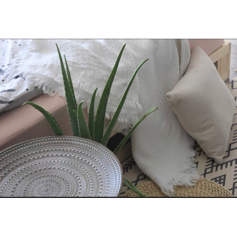 現貨🔺木質 摩洛哥茶几 盆栽 花架 矮桌子 露營桌子 民宿擺飾 復古北歐風 圓桌 木質桌子 木頭桌 拍照道具 居家裝飾-細節圖6