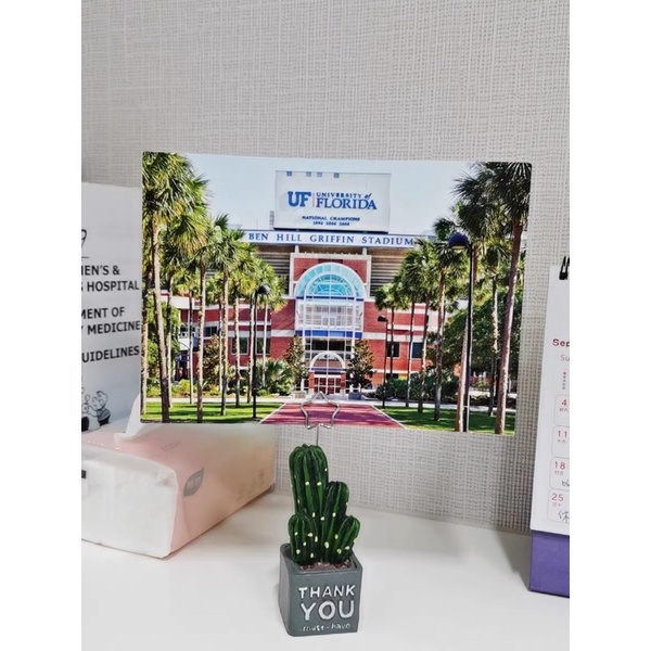 現貨🔺多肉 仙人掌 留言夾 便簽夾子 桌面照片夾子 小擺件 可愛文具 留言夾-細節圖6