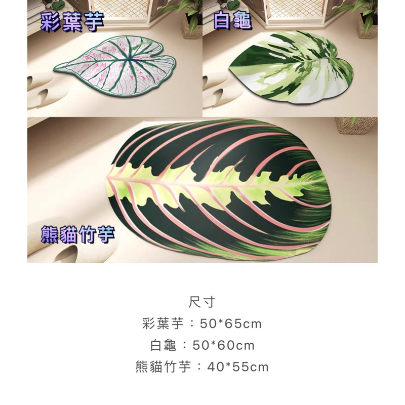現貨🔺觀葉植物 Q軟奈米吸水地毯 白龜 彩葉芋 竹芋 葉子地毯 北歐綠植浴室吸水地墊 腳踏墊 耐髒吸水防滑墊 玄關 地毯-細節圖6