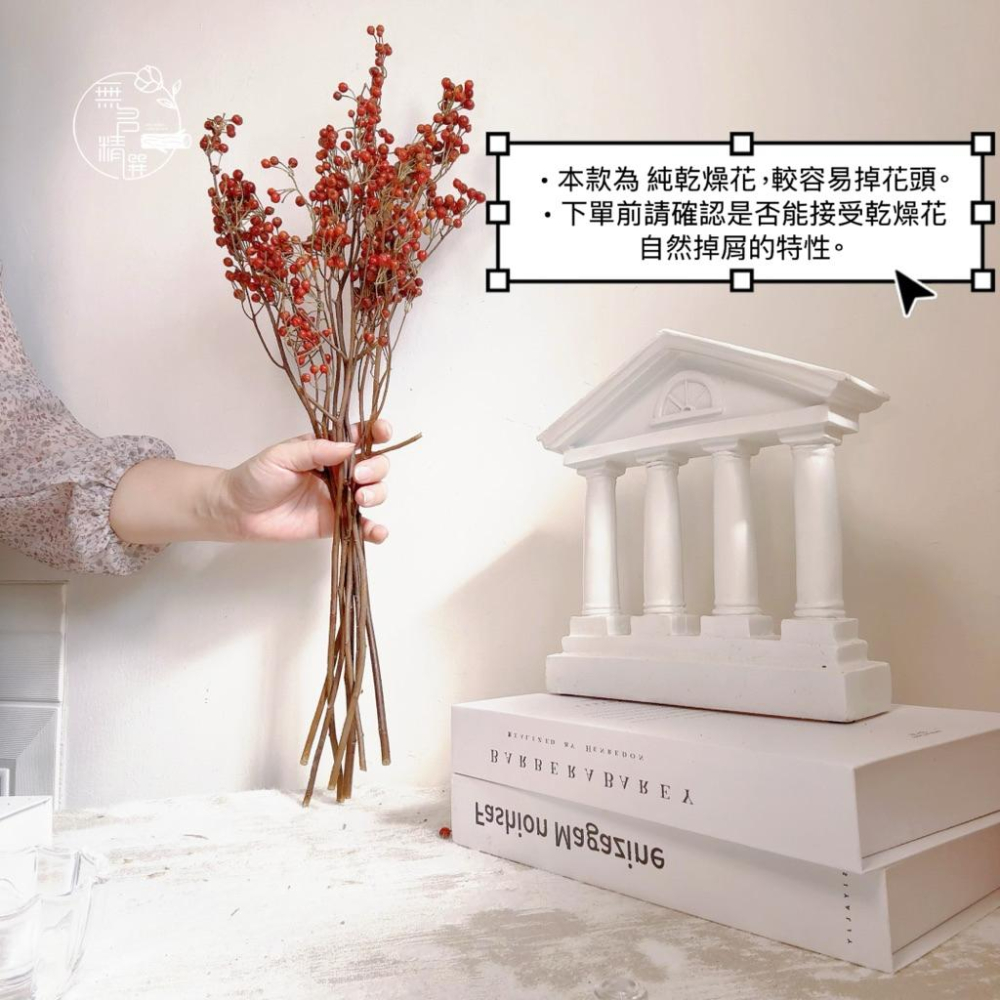 現貨🔺大把 乾燥紅漿果｜過年裝飾｜果實枝｜發財果 元宵花｜居家氛圍布置｜暖色系花材｜小物佈置 乾燥花 永生花-細節圖2