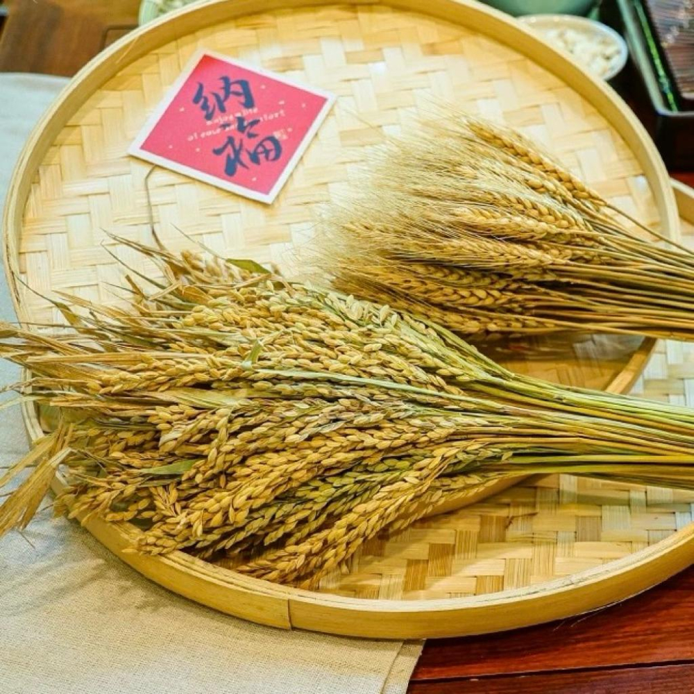 現貨🔺【批發價】一把100支／穀物乾燥花｜小麥乾燥花｜稻穗乾燥花 水稻 天然花材 手作花藝 拍照背景 婚禮裝飾 拍攝擺飾-細節圖2