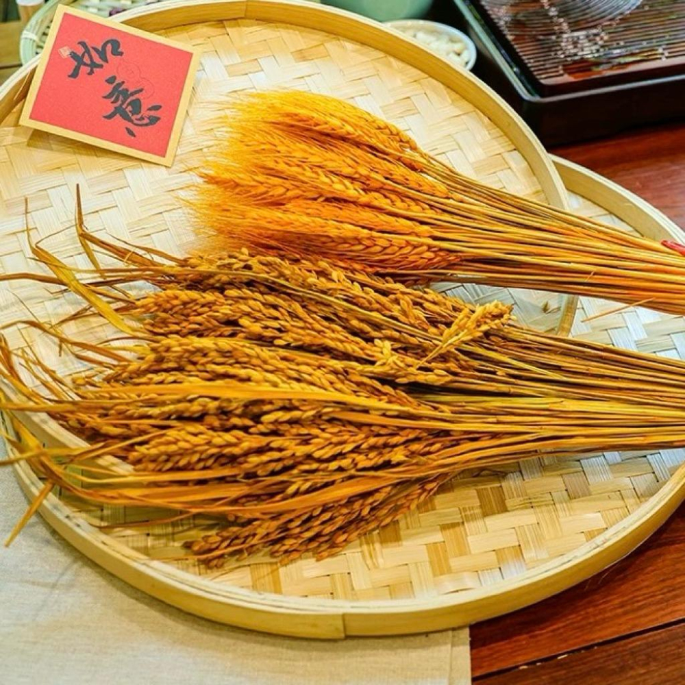 現貨🔺【批發價】一把100支／穀物乾燥花｜小麥乾燥花｜稻穗乾燥花 水稻 天然花材 手作花藝 拍照背景 婚禮裝飾 拍攝擺飾-細節圖3