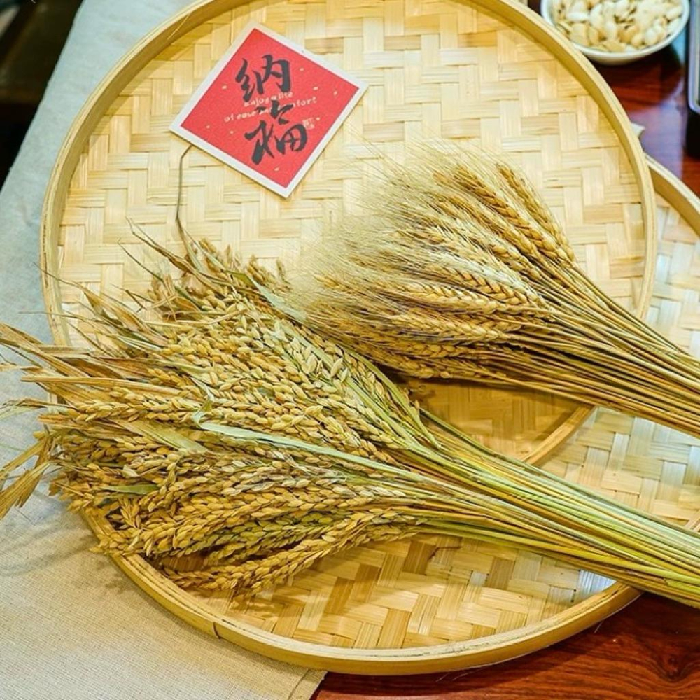 現貨🔺【批發價】一把100支／穀物乾燥花｜小麥乾燥花｜稻穗乾燥花 水稻 天然花材 手作花藝 拍照背景 婚禮裝飾 拍攝擺飾-細節圖5