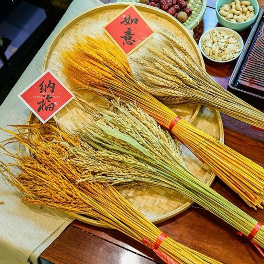 現貨🔺【批發價】一把100支／穀物乾燥花｜小麥乾燥花｜稻穗乾燥花 水稻 天然花材 手作花藝 拍照背景 婚禮裝飾 拍攝擺飾-細節圖7