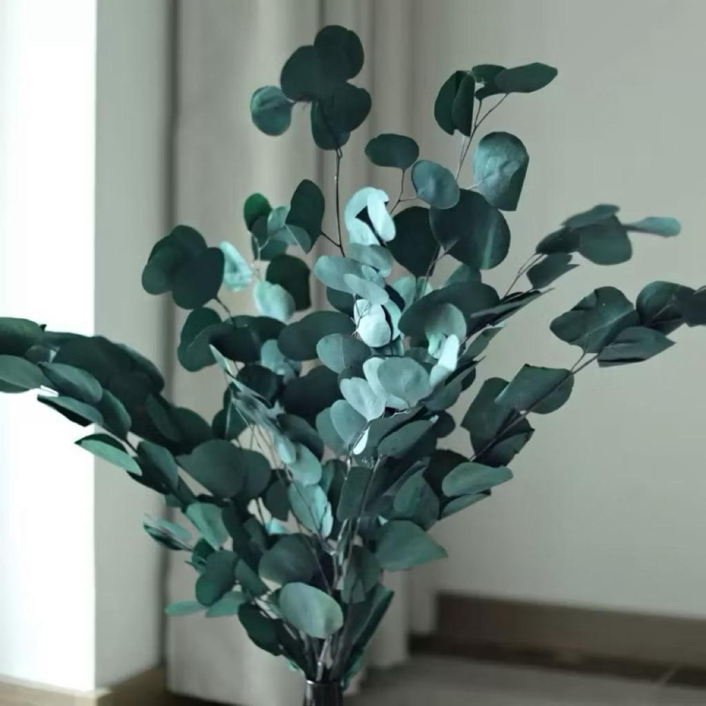 現貨🔺【永生花】染色尤加利｜永生花材 仿真尤加利葉 圓葉／細葉 插花材料 居家佈置 拍攝花藝道具 永生風花材 乾燥花-細節圖2