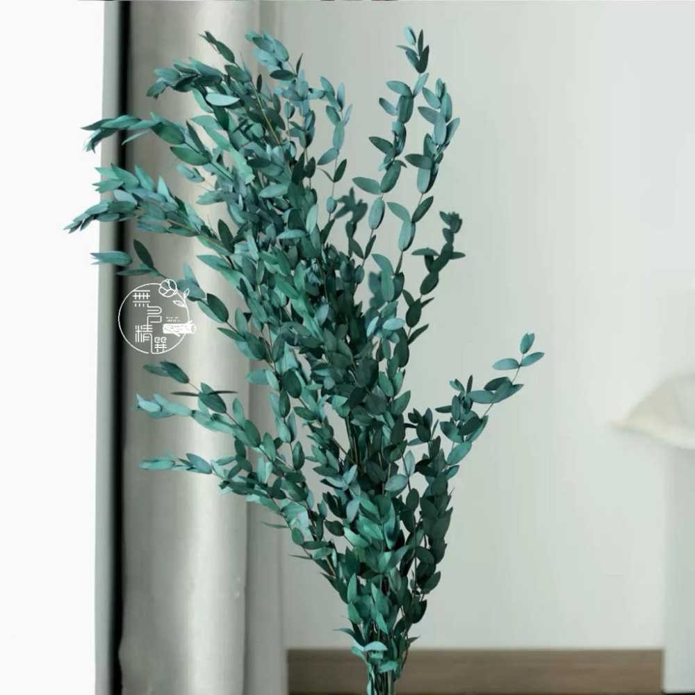 現貨🔺【永生花】染色尤加利｜永生花材 仿真尤加利葉 圓葉／細葉 插花材料 居家佈置 拍攝花藝道具 永生風花材 乾燥花-細節圖3