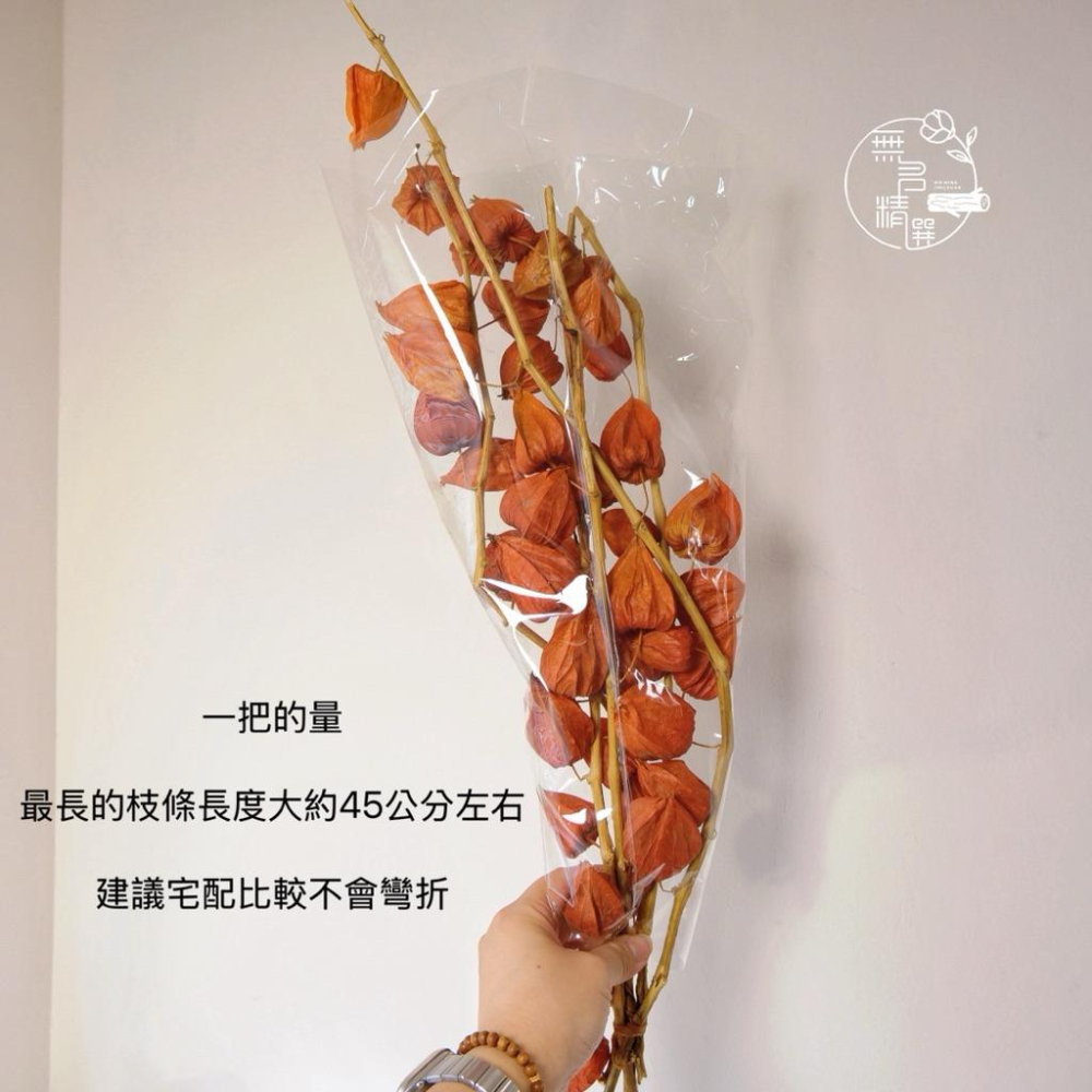 現貨🔺大把 乾燥宮燈｜果實枝｜花店、攝影、小物佈置｜居家氛圍布置｜暖色系花材｜永生花 乾燥花 聖誕節花圈裝飾品 過年佈置-細節圖2