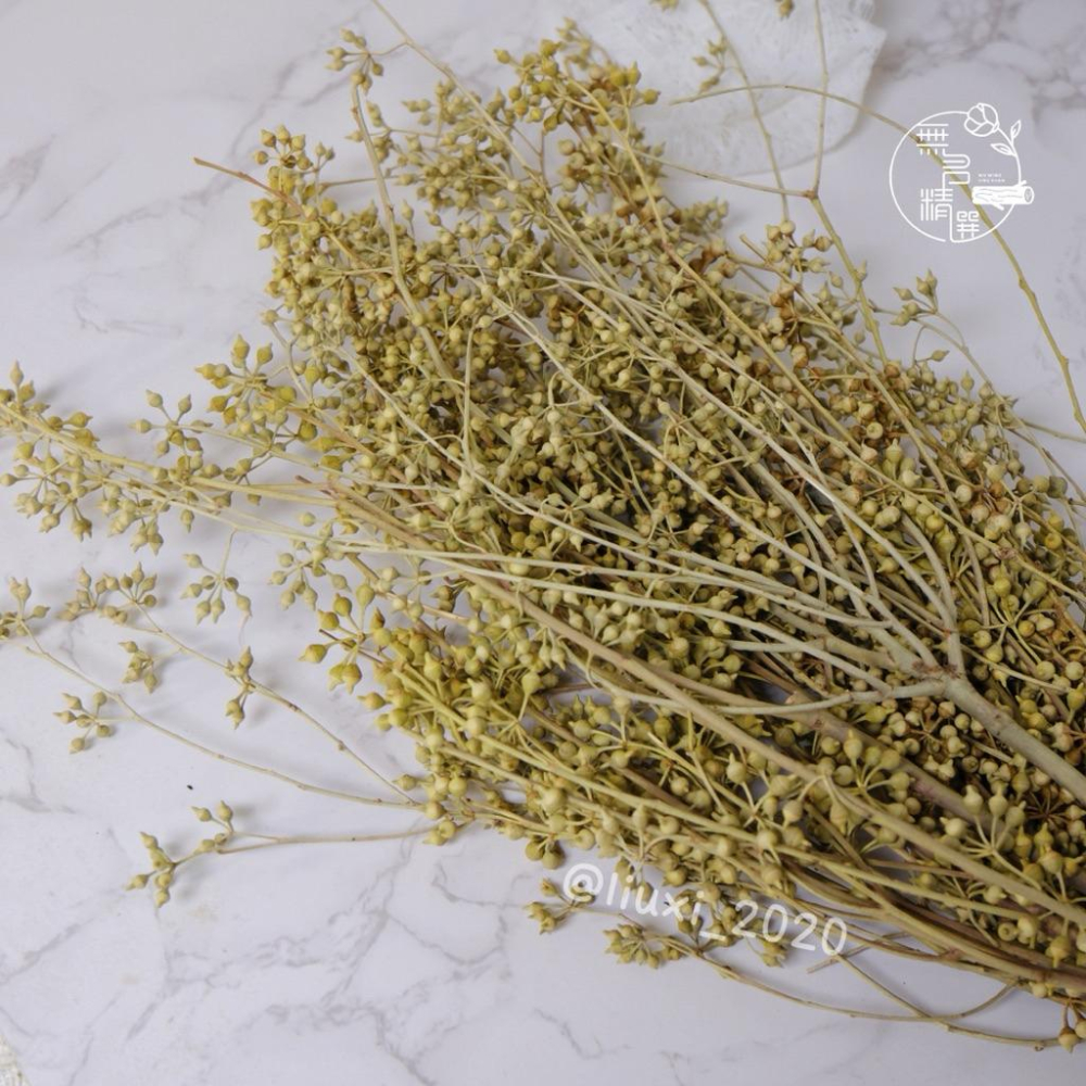 現貨🔺小米果永生花｜大束原裝｜不凋花｜小米尤加利｜永生花 乾燥花 花盅 手作花材 批發價-細節圖4