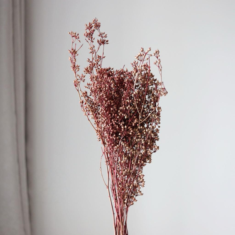 現貨🔺小米果永生花｜大束原裝｜不凋花｜小米尤加利｜永生花 乾燥花 花盅 手作花材 批發價-細節圖7