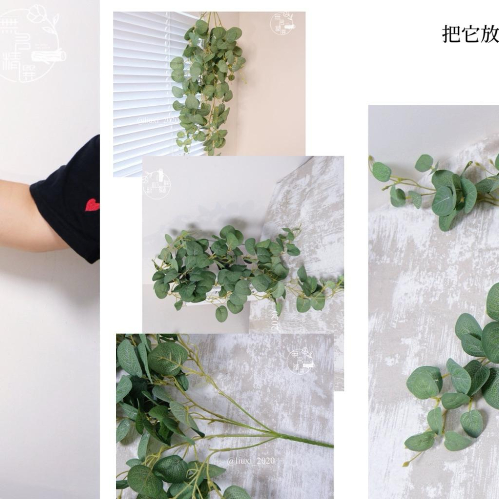 現貨🔺仿真金錢葉｜綠色藤蔓｜綠葉子｜綠植裝飾 假花 假葉｜居家風水擺件 招財樹 開運招財擺設 店面佈置 花牆 婚禮佈置-細節圖2